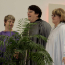 XII. Elfogadás napja Mosonmagyaróvár