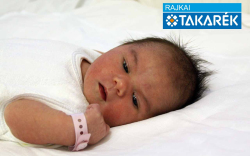 Németh-Mölczner Hanna, Mosonmagyaróvár