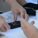 KULT-UTCA - Egészségnap másképp