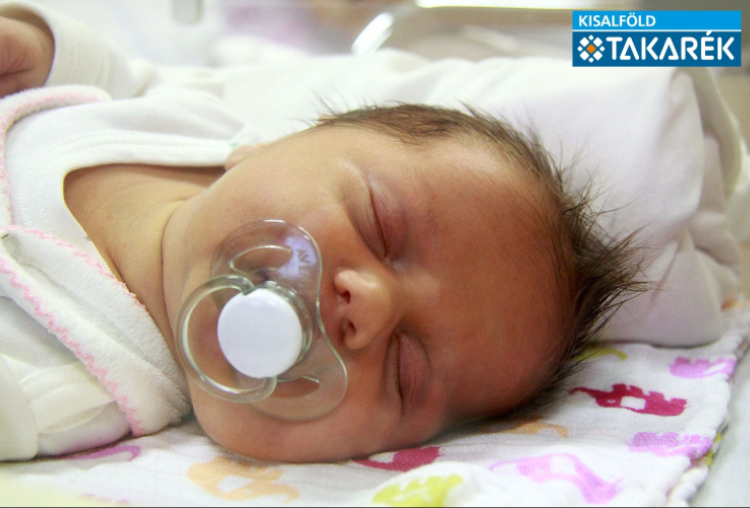 Török Lara Erzsébet, Bősárkány