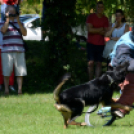 VÁROSKÖZPONTIAK NAPJA 2016, 2 nap (Fotó: Bánhegyi István)