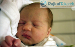 Makara Dorina, Mosonmagyaróvár