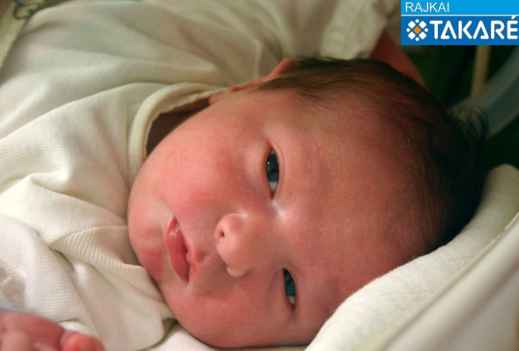 Győrig Zalán, Mosonmagyaróvár