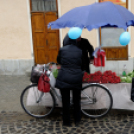 Szigetközi Szatyor - Ragyogj KÉKEN! (Fotó: Horváth Attila)