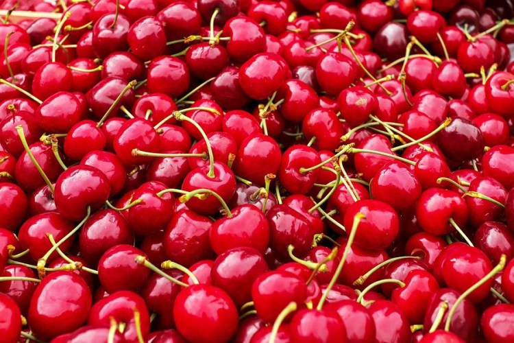 Uniós földrajzi árujelző oltalmat kapott a Nagykörűi ropogós cseresznye