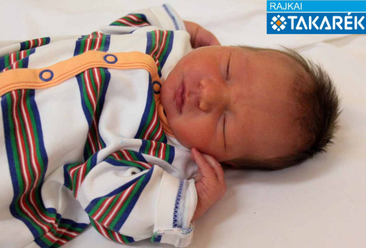 Horváth Erika, Mosonmagyaróvár