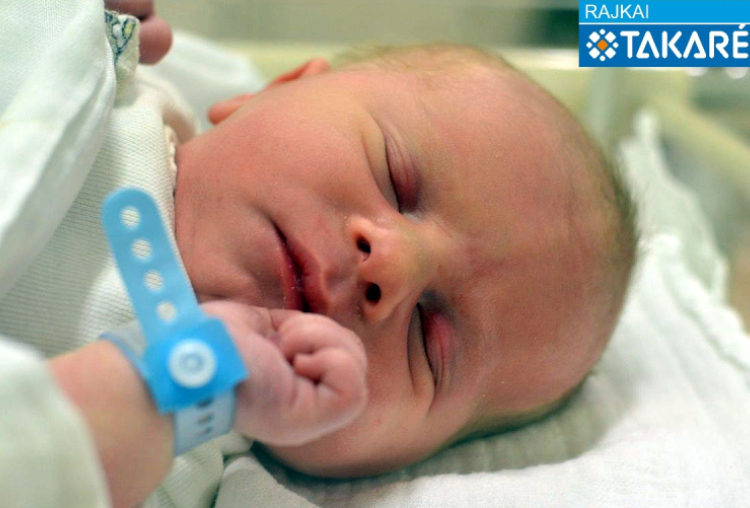 Nagy Ádám Máté, Hegyeshalom