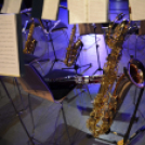 LIONS JÓTÉKONYSÁGI HANGVERSENY