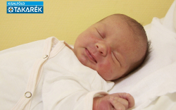 Mészáros Boglárka, Halászi