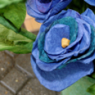 Szigetközi Szatyor - Ragyogj KÉKEN! (Fotó: Horváth Attila)