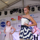 Szigetköz ízei, vármegye borai fesztivál / VÁRMEGYE SZÉPE - VÁRMEGYE HANGJA (Fotó: Horváth Attila)