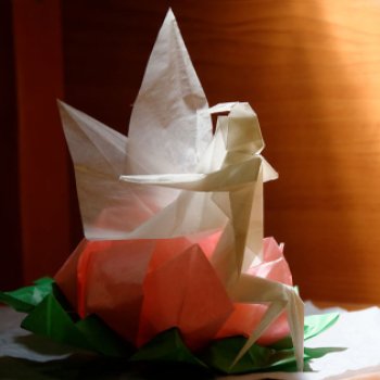 Az állatok világnapja, Leczkésy László origami kiállításának megnyitója (fotó: Horváth Attila)