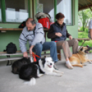 Agility - Hobby Kutyások részére (Fotó: Nagy Mária)