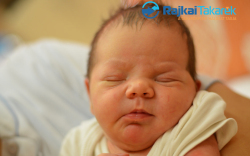 Knolmár Gergő, Csorna