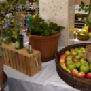 Termény- és virágkiállítás 