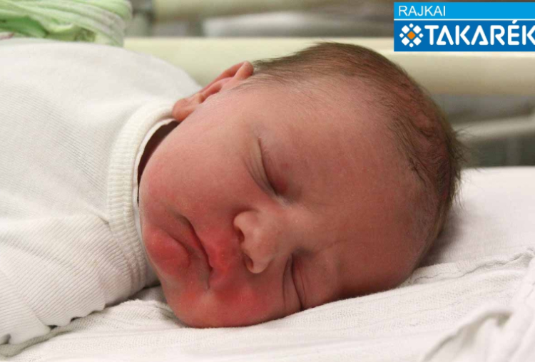 Denk Dániel, Máriakálnok