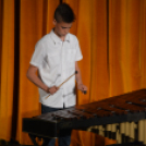 Nyárcsalogató (Fotó: Nagy Mária)