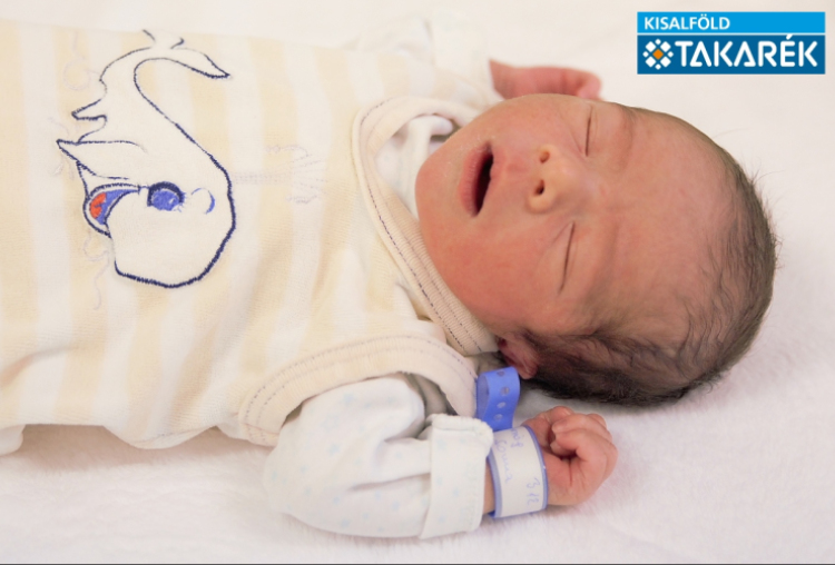 Hörcsög Soma, Kimle