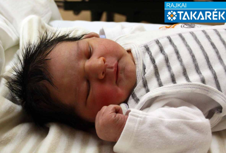 Lukács László, Mosonudvar