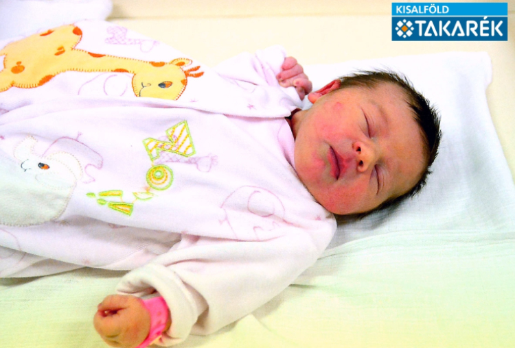 Németh Liza, Darnózseli