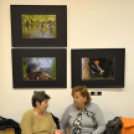 TERMÉSZETI ÉRTÉKEINK Fotókiállítás 