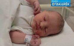 Gráf Mia Flóra, Hegyeshalom