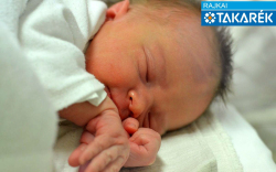 Boros Kamilla, Hédervár