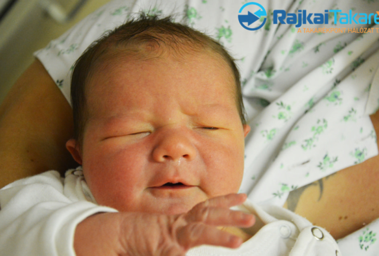 Hegedüs Gábor Tibor, 3960 gr. Móvár