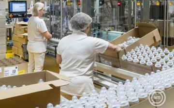 Új program segíti a munkát keresők elhelyezkedését