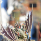 Makett Kiállítás Makettjei 2014 