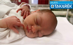 Koza Zsófia Petra, Jánossomorja