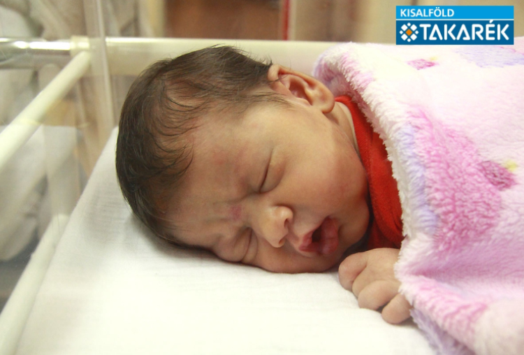 Ranyák Rubina, Mosonmagyaróvár