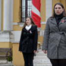 2015. MÁRCIUS 15. Mosonmagyaróvár (Fotó: Horváth Attila)