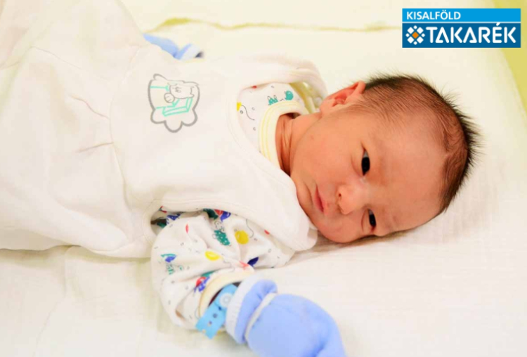 Kiss Dominik, Halászi