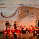 FlexArt Dance (Fotó: Stipkovits Veronika és Bánhegyi István)