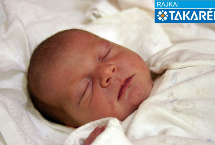 Bakonyi Kristóf Ferenc, Darnózseli