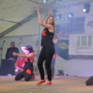 Vármegye szépe verseny 1 (Fotó: Nagy Mária)