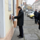 2015. MÁRCIUS 15. Mosonmagyaróvár (Fotó: Horváth Attila)