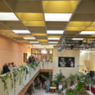 Legszebb konyhakertek (Fotó: Nagy Mária)