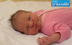 Vékás Katalin, Győr