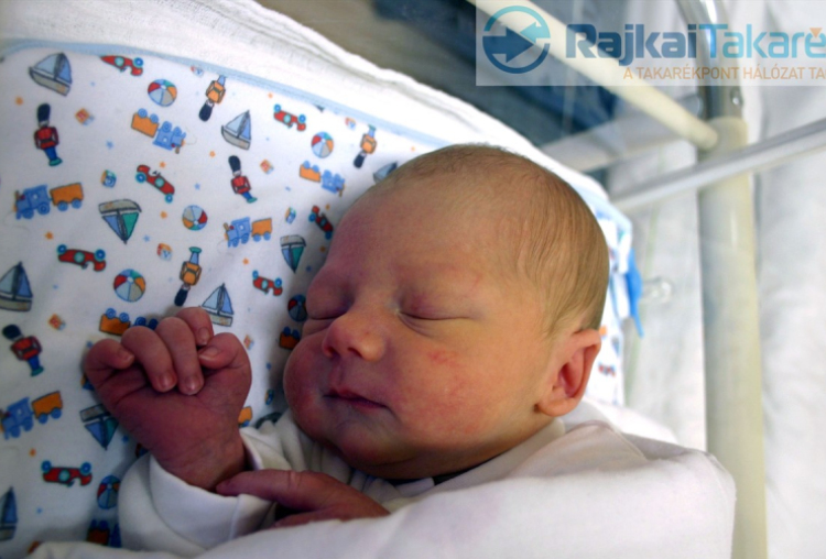 Süly Zsombor, Halászi