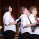 Nyugdíjas Ki-Mit-Tud DÖNTŐ 2014  (14:00 - 15:00)