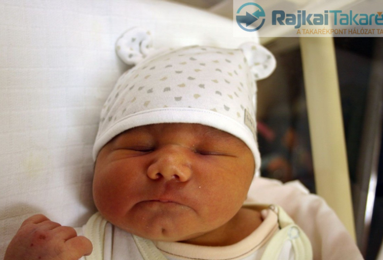 Koltai Koppány, Csorna