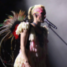 Voluta 1 nap (Fotó: Stipkovits Veronika és Bánhegyi István)