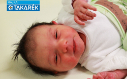 Bús Regina, Mosonmagyaróvár