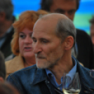 VII. Szigetköz ízei, Vármegye borai fesztivál péntek 1. (Fotó: Nagy Mária)