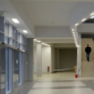 Városi Sportcsarnok