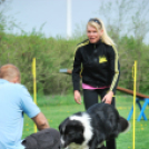 Agility - Hobby Kutyások részére (Fotó: Nagy Mária)