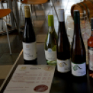 III. Szigetközi Gyógynövénynap megnyitó