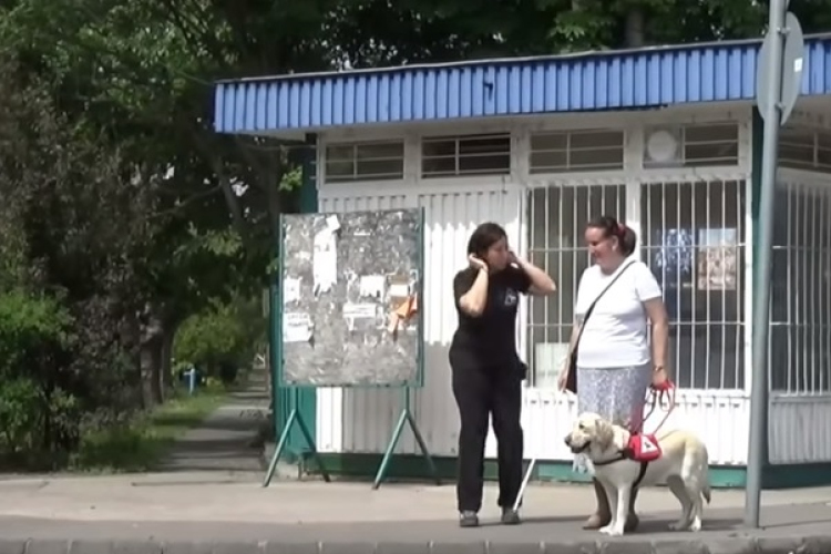 Hogyan segítsünk megfelelően a vakvezető kutyával közlekedő látássérülteknek?